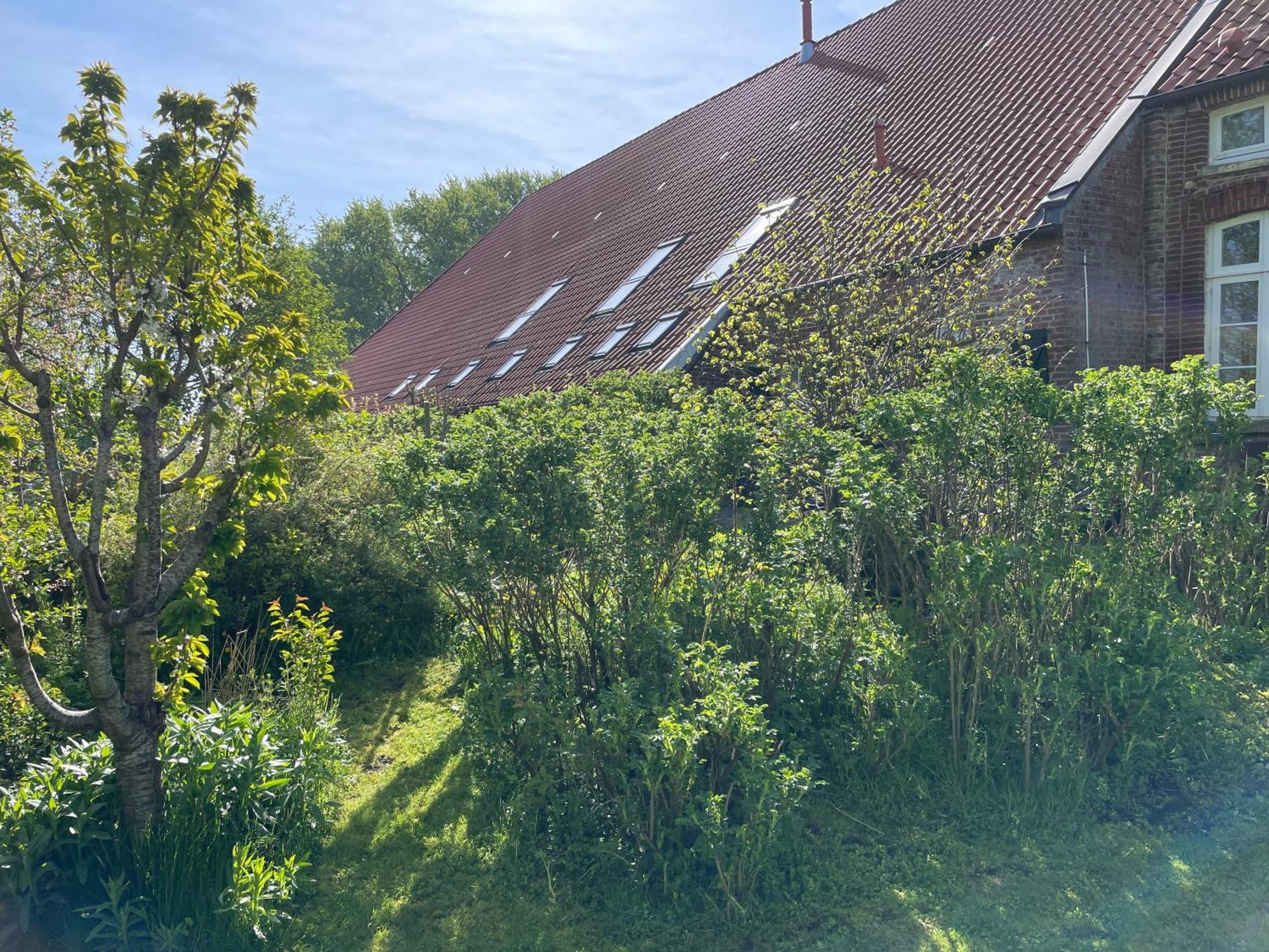 Ferienhof Spiegelhaus Krummhörn Exterior foto